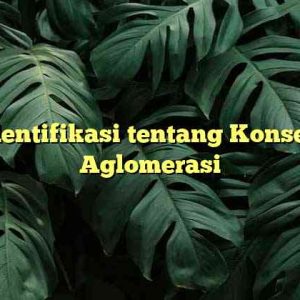 Identifikasi tentang Konsep Aglomerasi