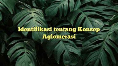 Identifikasi tentang Konsep Aglomerasi