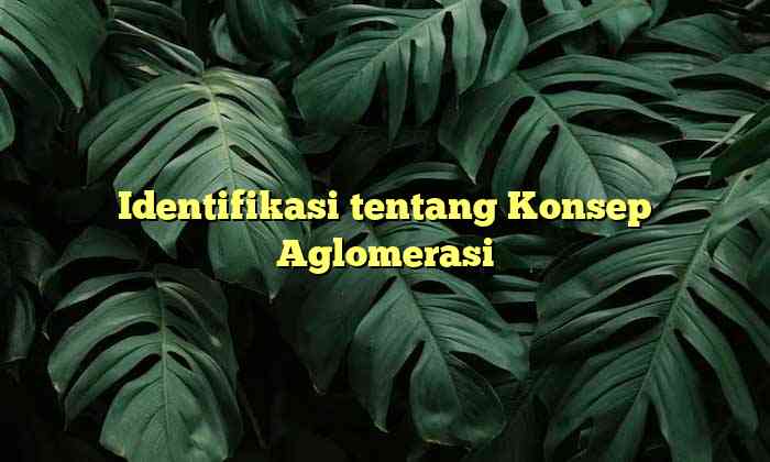 Identifikasi tentang Konsep Aglomerasi