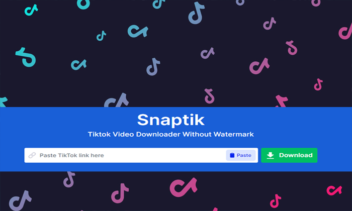 snaptik