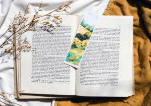 novel