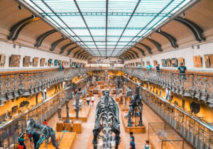 peran museum terhadap dunia pendidikan