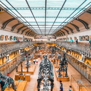 peran museum terhadap dunia pendidikan