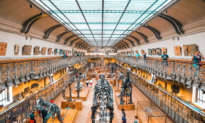 peran museum terhadap dunia pendidikan